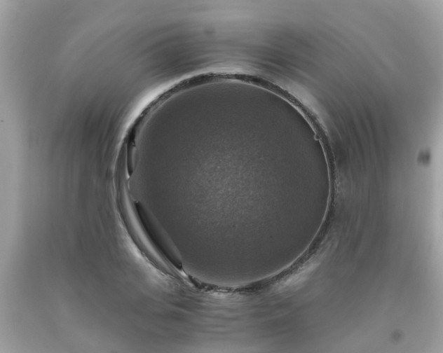 X0000092000935200709131511