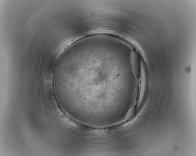 X0000092000937200709131511