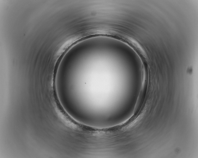 X0000092000938200709131511