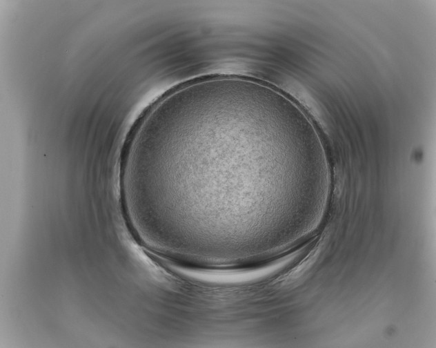 X0000092000939200709131511