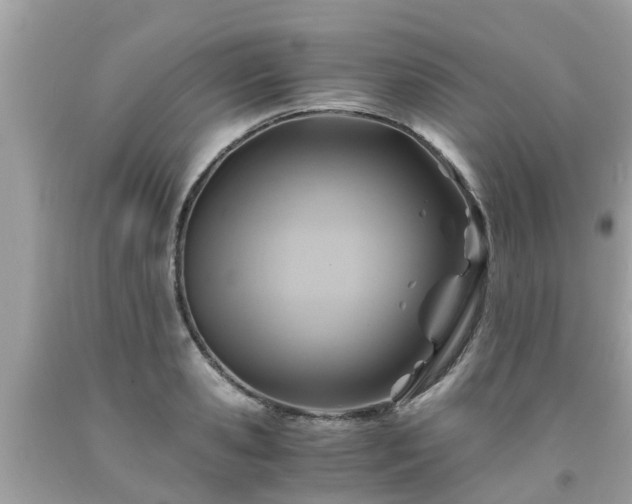 X0000092000941200709131511