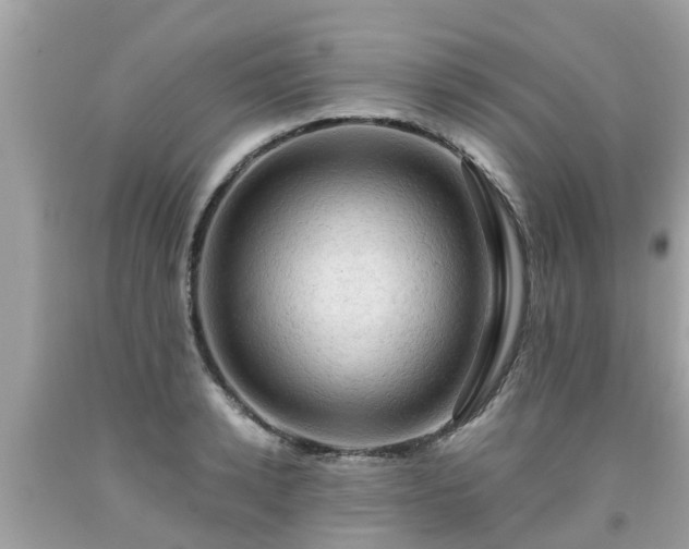 X0000092000942200709131511