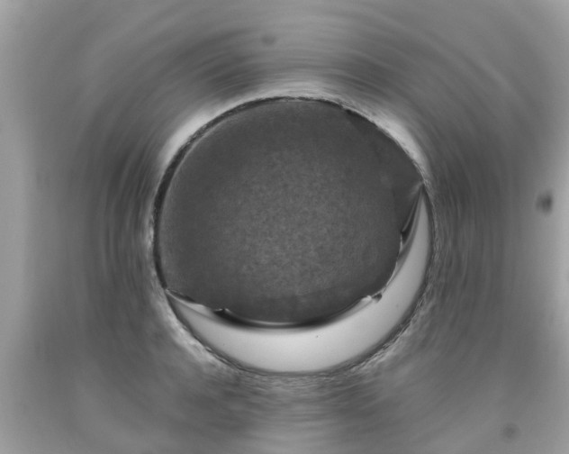 X0000092000944200709131511