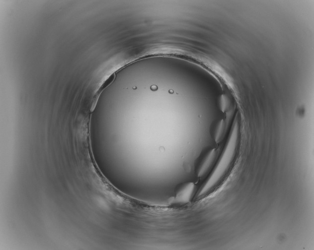 X0000092000945200709131511