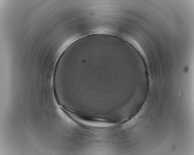 X0000092000946200709131511