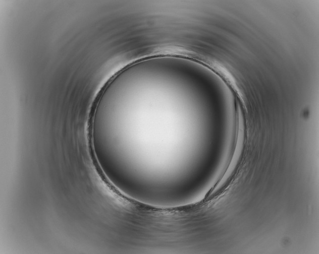 X0000092000947200709131511