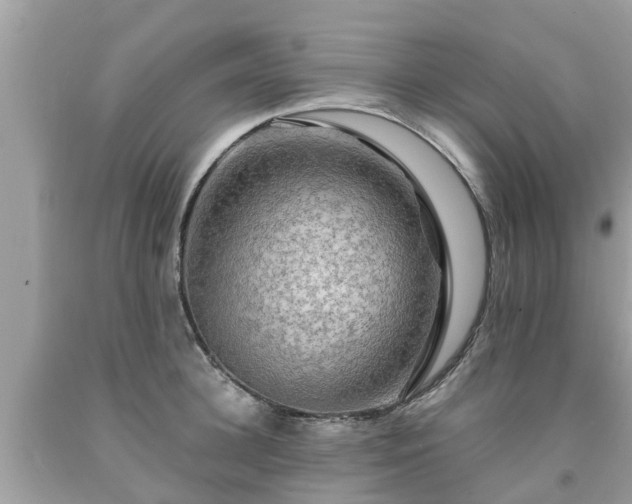 X0000092000948200709131511