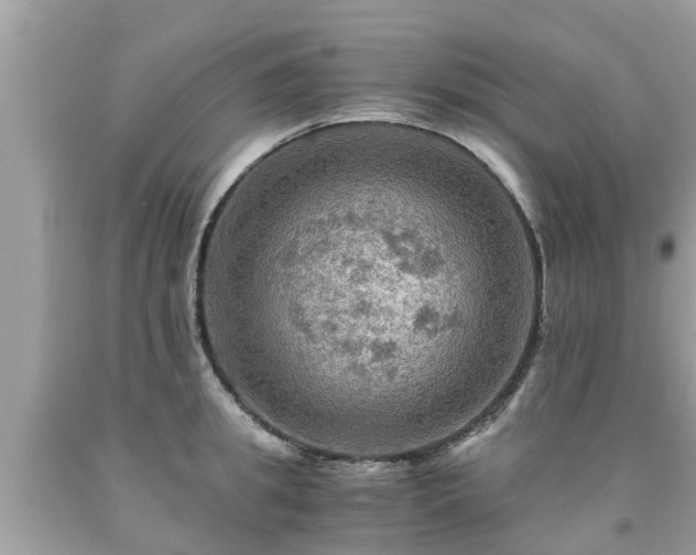 X0000092000949200709131511