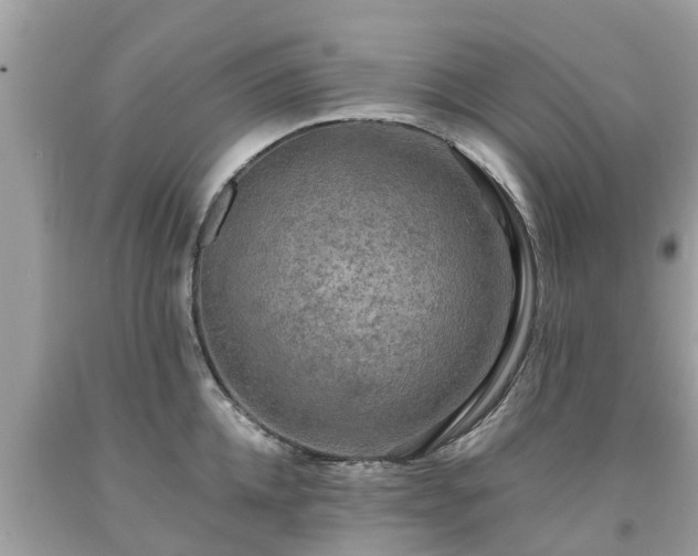 X0000092000952200709131511