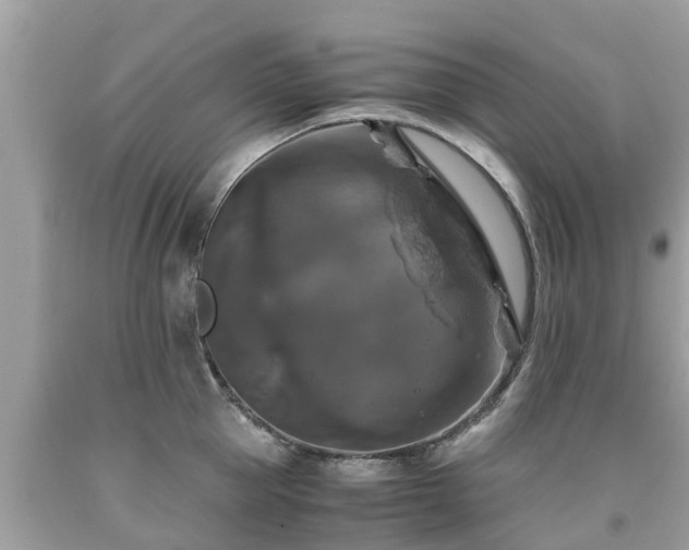 X0000092000953200709131511