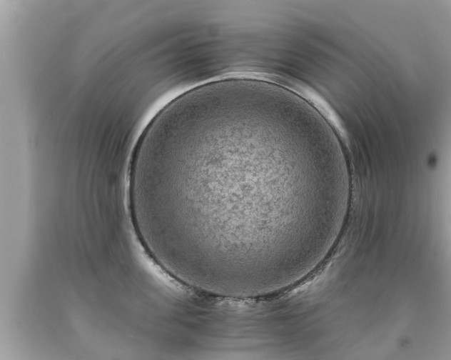 X0000092000955200709131511