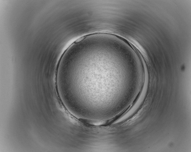 X0000092000956200709131511