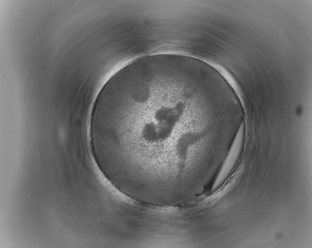 X0000092000957200709131511