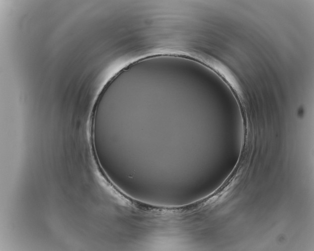 X0000092000958200709131512