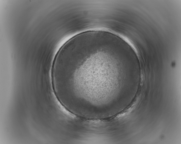 X0000092000959200709131512