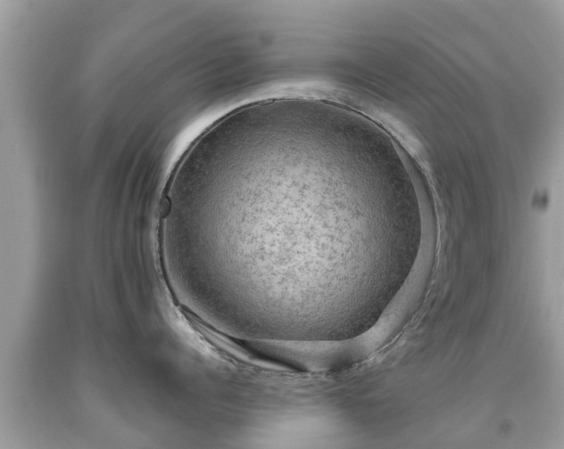 X0000092000960200709131512