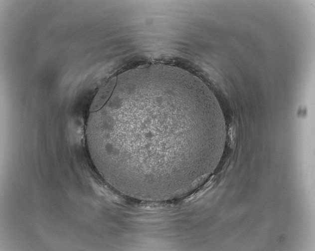 X0000092000963200709131511