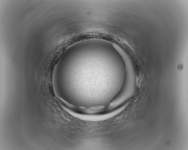 X0000092000965200709131511