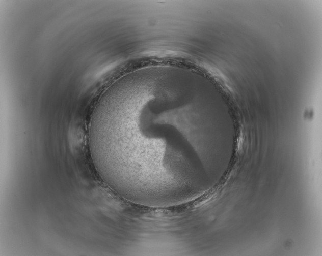 X0000092000966200709131511