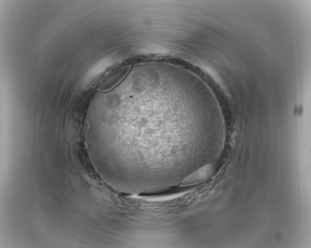 X0000092000967200709131511