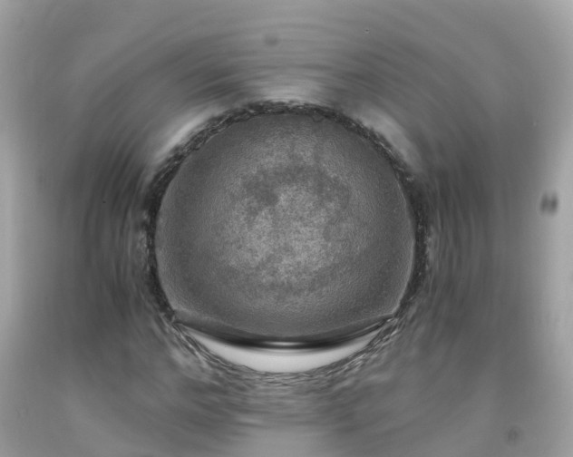 X0000092000968200709131511