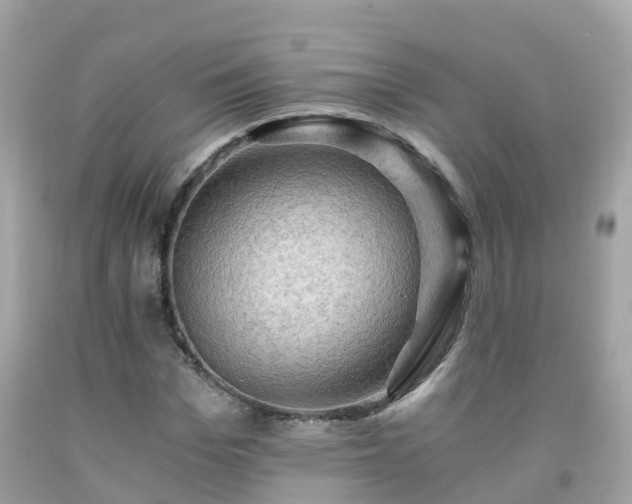 X0000092000969200709131511