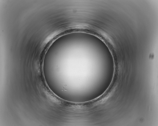 X0000092000970200709131511