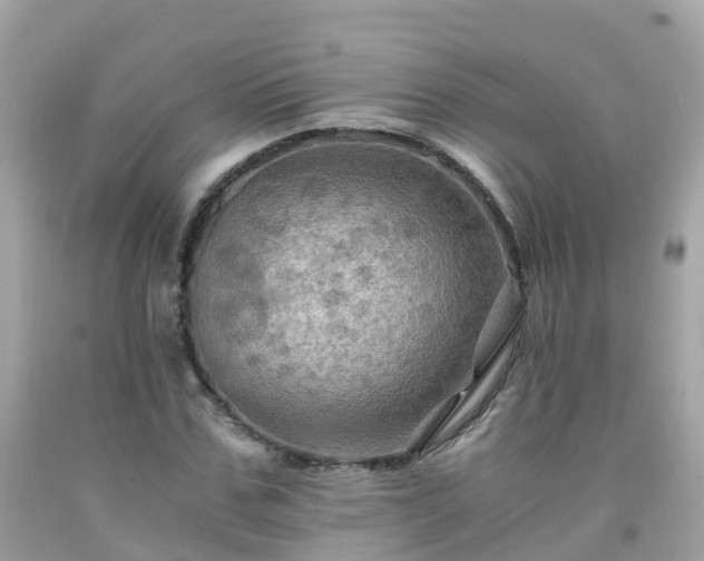 X0000092000971200709131511