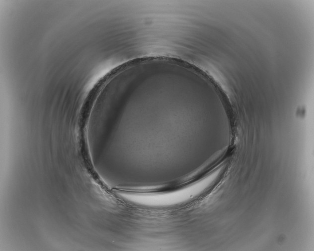 X0000092000975200709131511