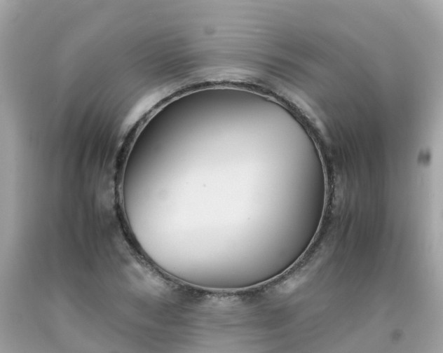 X0000092000978200709131511