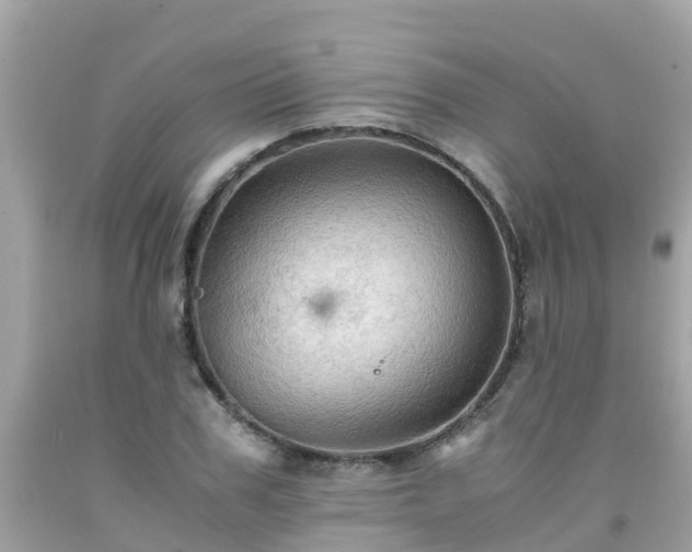 X0000092000979200709131511