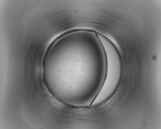 X0000092000980200709131511