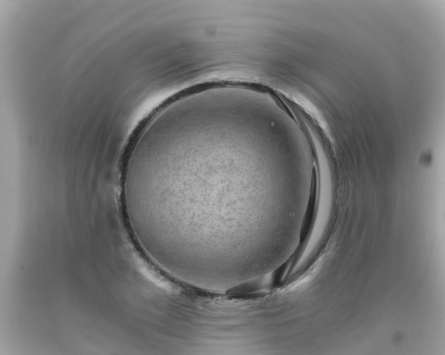 X0000092000981200709131511