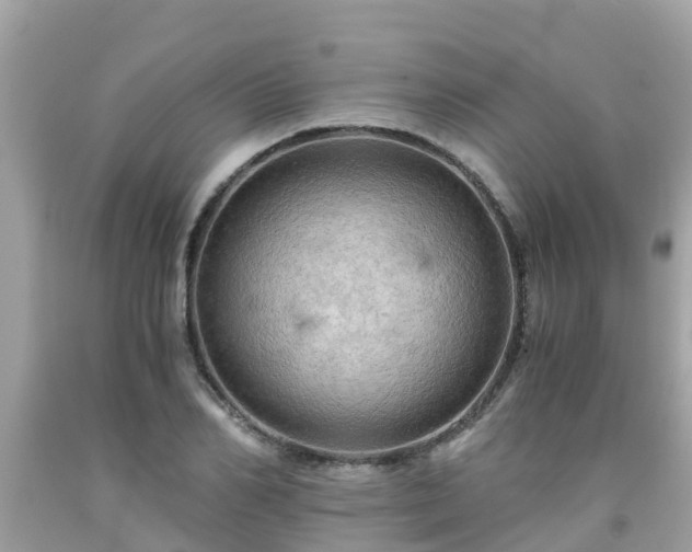 X0000092000982200709131511