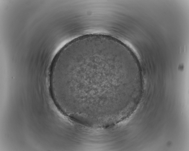 X0000092000983200709131511