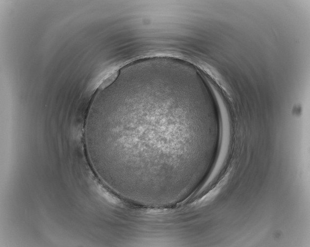 X0000092000985200709131511