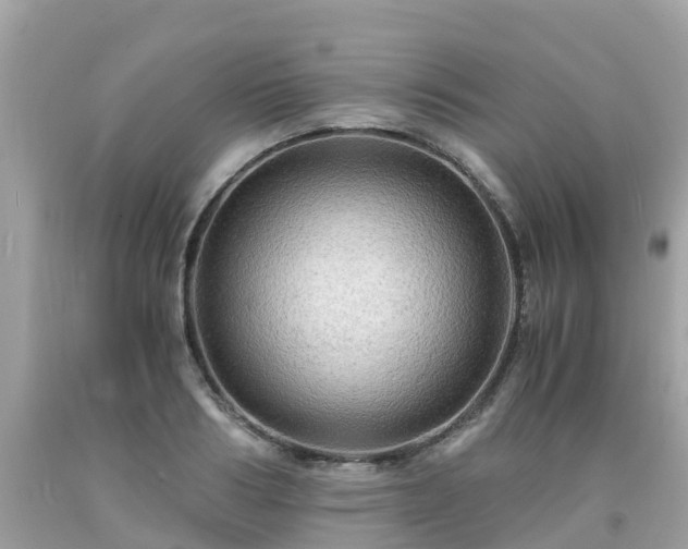 X0000092000986200709131511