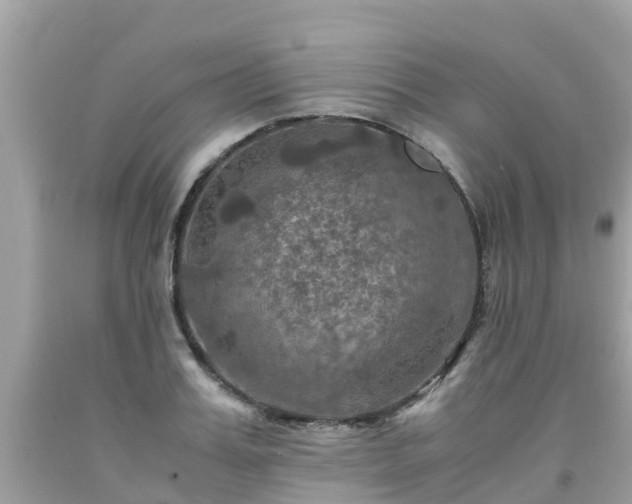 X0000092000987200709131511