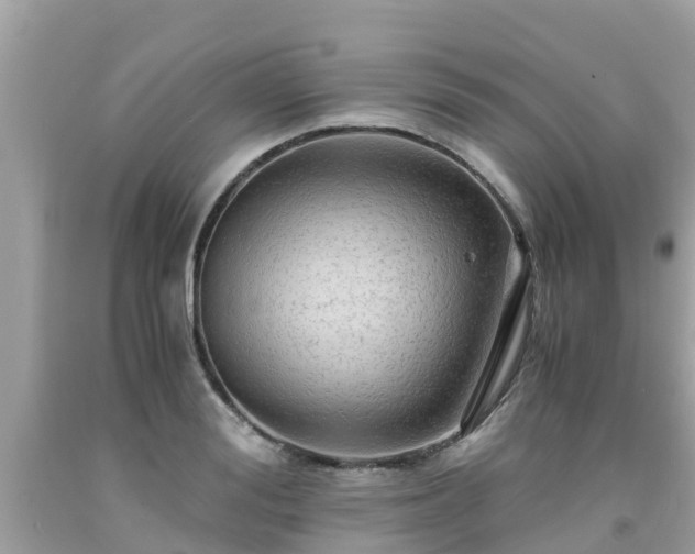 X0000092000988200709131511