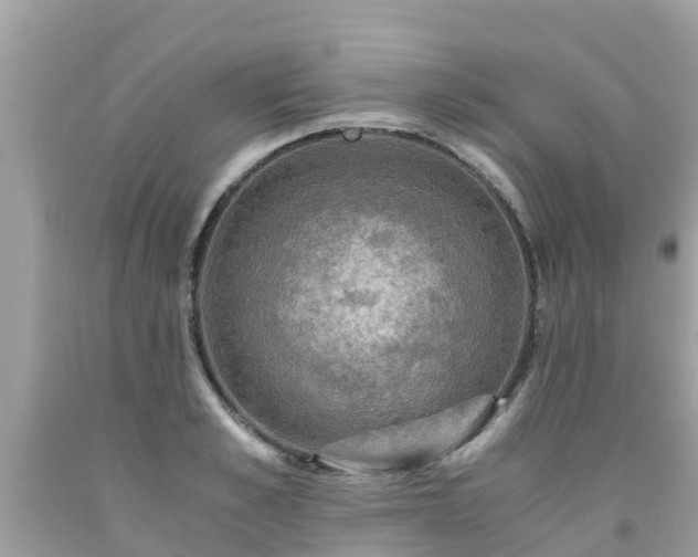 X0000092000989200709131511