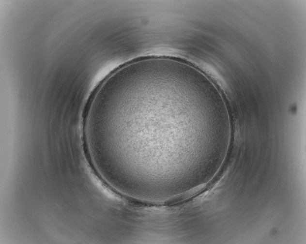 X0000092000990200709131511