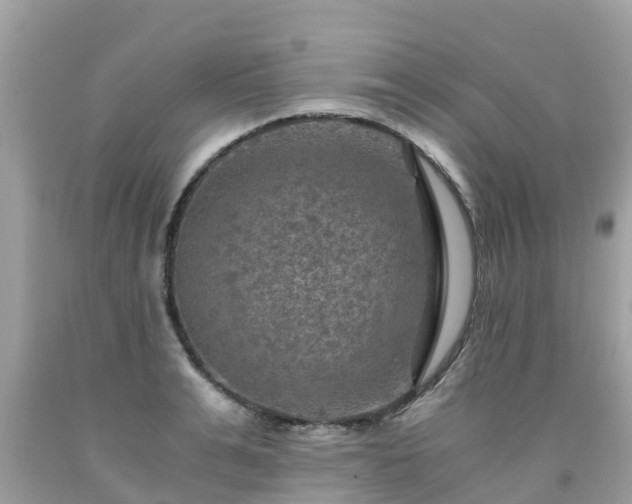 X0000092000991200709131511