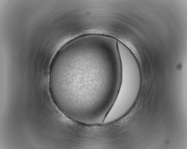 X0000092000992200709131511