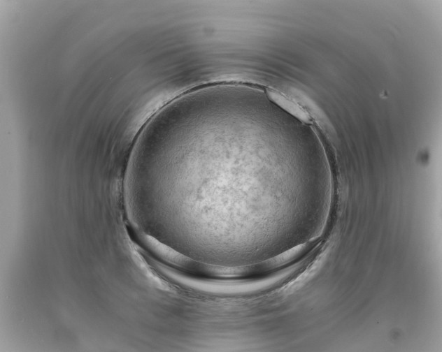 X0000092000993200709131511