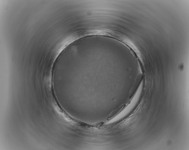 X0000092000994200709131511