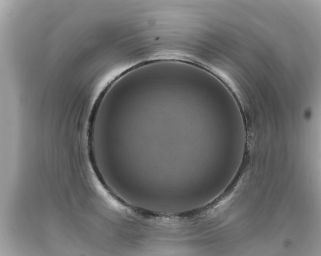 X0000092000995200709131511