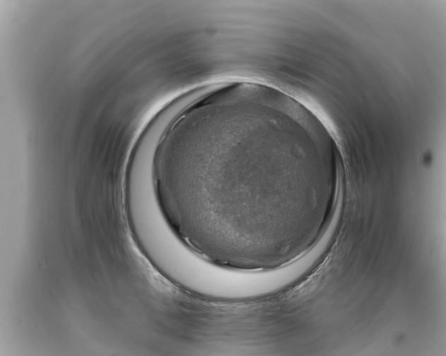 X0000092000996200709131510