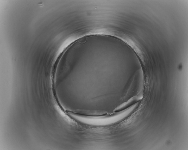 X0000092000998200709131510