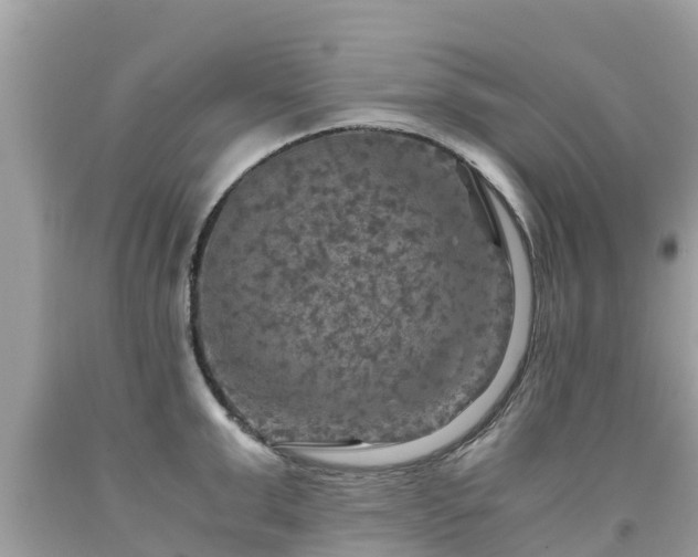 X0000092000999200709131510