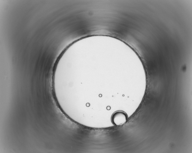 X0000092001000200709131510